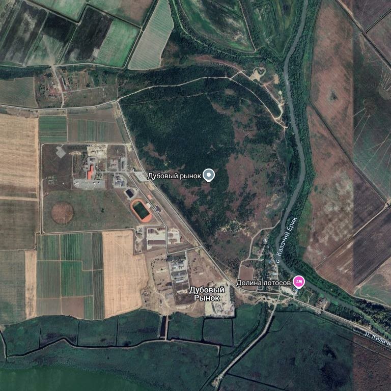 Спутниковый снимок современного района памятника природы Дубовый Рынок