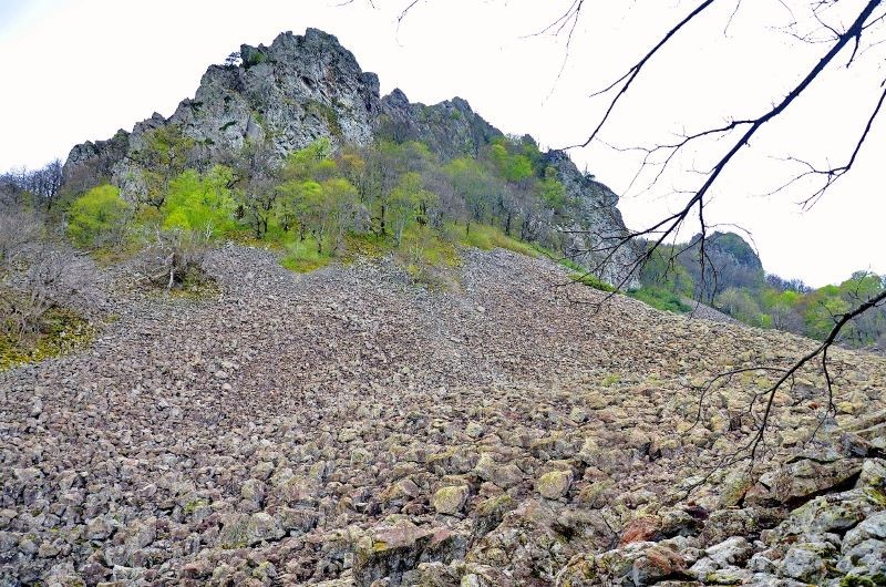 «Каменное море»