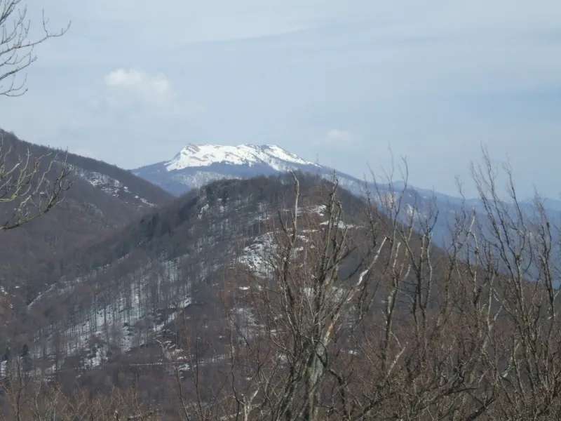 Вид на массив горы Семиглавой с юго-восточного склона горы Семашхо